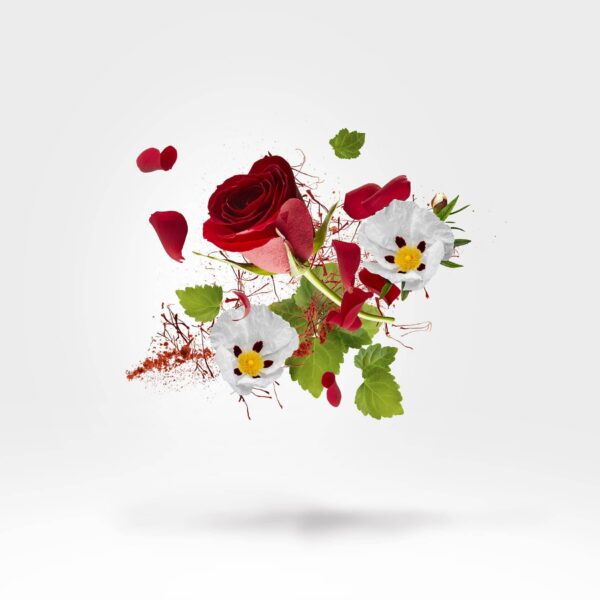 Astaral - Afbeelding 2